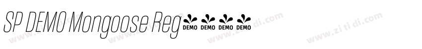 SP DEMO Mongoose Reg字体转换